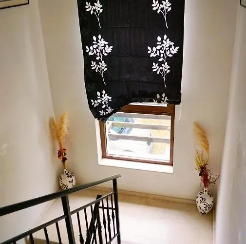 афина - Afina * Baltsjik