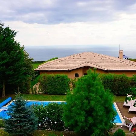 афина - Afina *