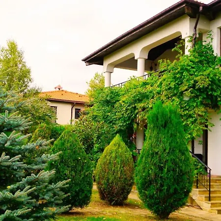 афина - Afina Villa *